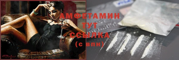 прущие грибы Куйбышев