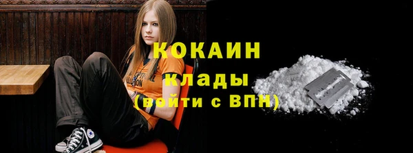прущие грибы Куйбышев