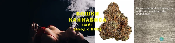 прущие грибы Куйбышев