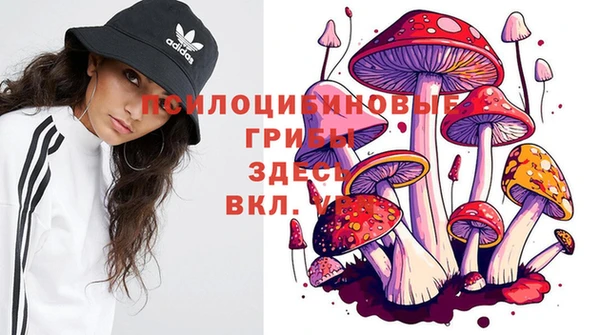 прущие грибы Куйбышев