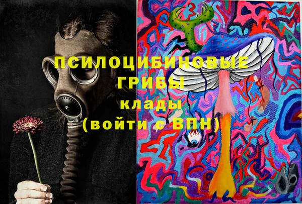 прущие грибы Куйбышев