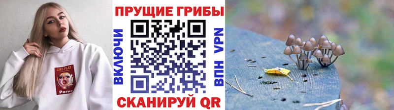кракен вход  Семикаракорск  Псилоцибиновые грибы Magic Shrooms  где можно купить наркотик 